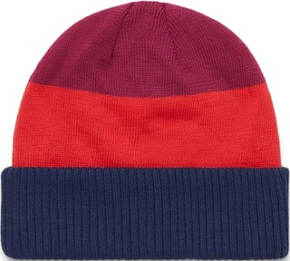 Cotopaxi Alto Beanie