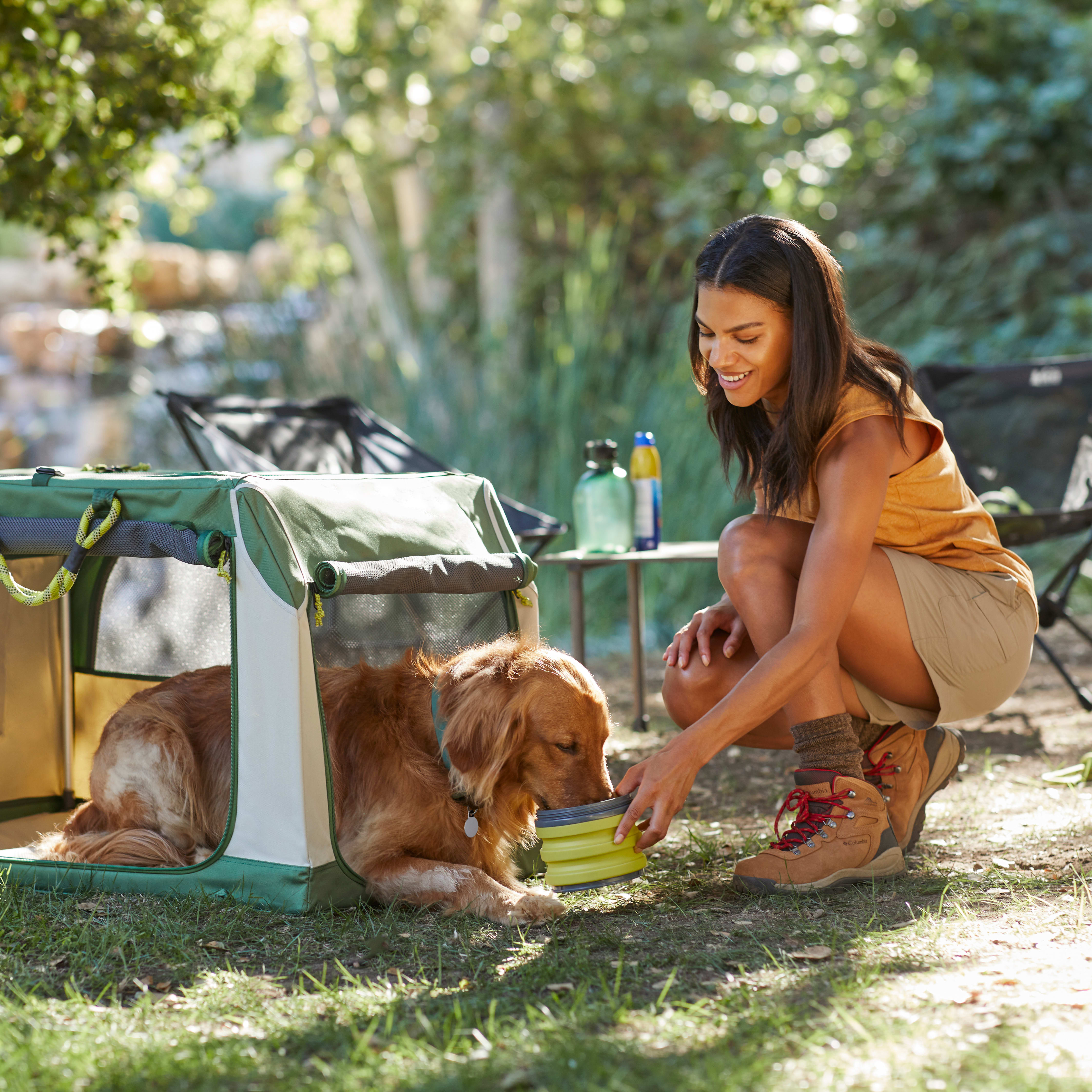 Backcountry x Petco The Foldable Dog Travel Crate， 24