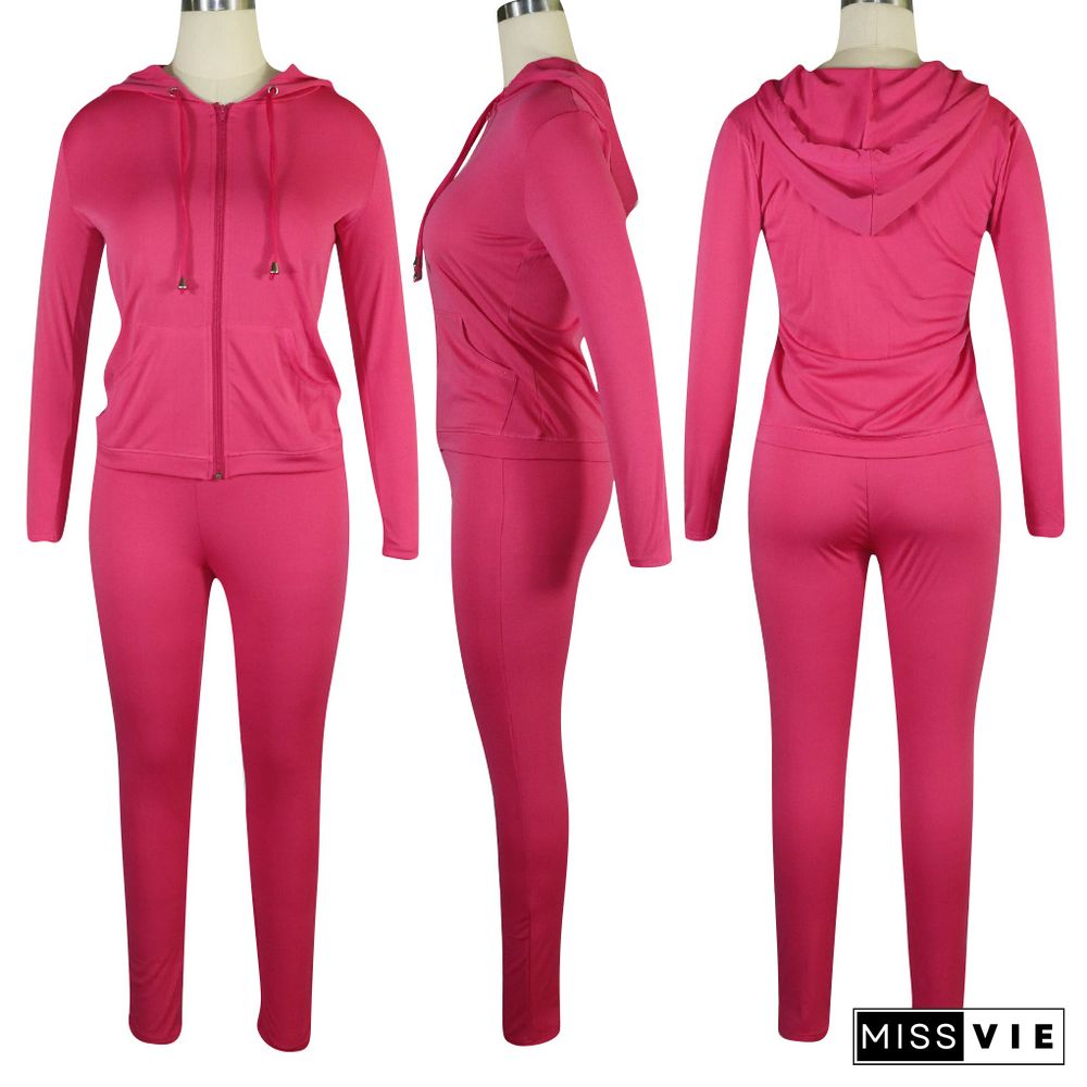 Hot Sale Zipper Up Long Sleeve Top Pants Tracksuit Outfit