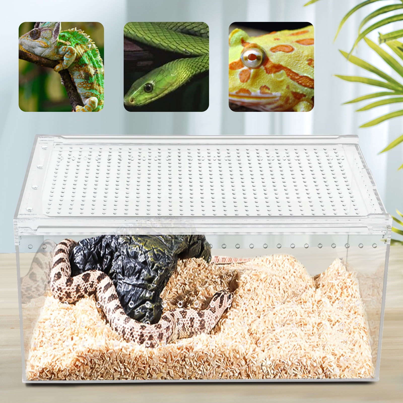 Reptile Feeding Box Snake Breeding Box Transparent Animal Habitat Cage Portable Plastic Turtle Transport Container for Bearded Dragon Lizard Spider Frog Scorpion Gecko