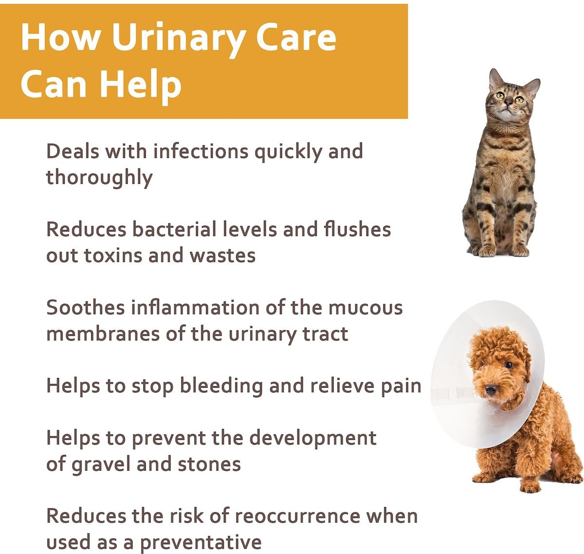 NaturPet Urinary Care Pet Supplement