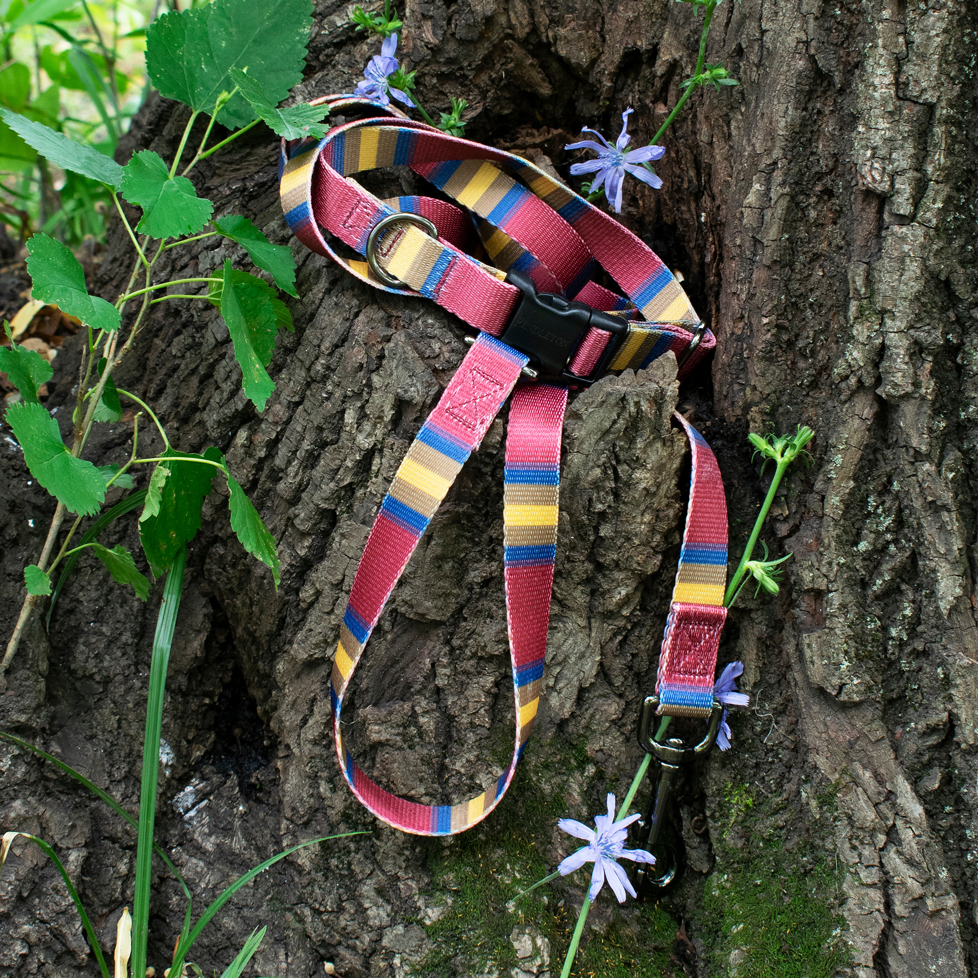 Pendleton Park Adventure Collar | Zion