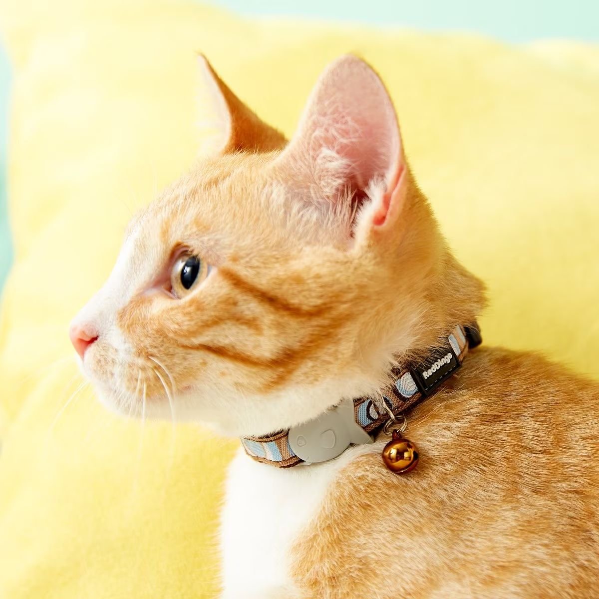 Red Dingo Circadelic Nylon Breakaway Cat Collar with Bell