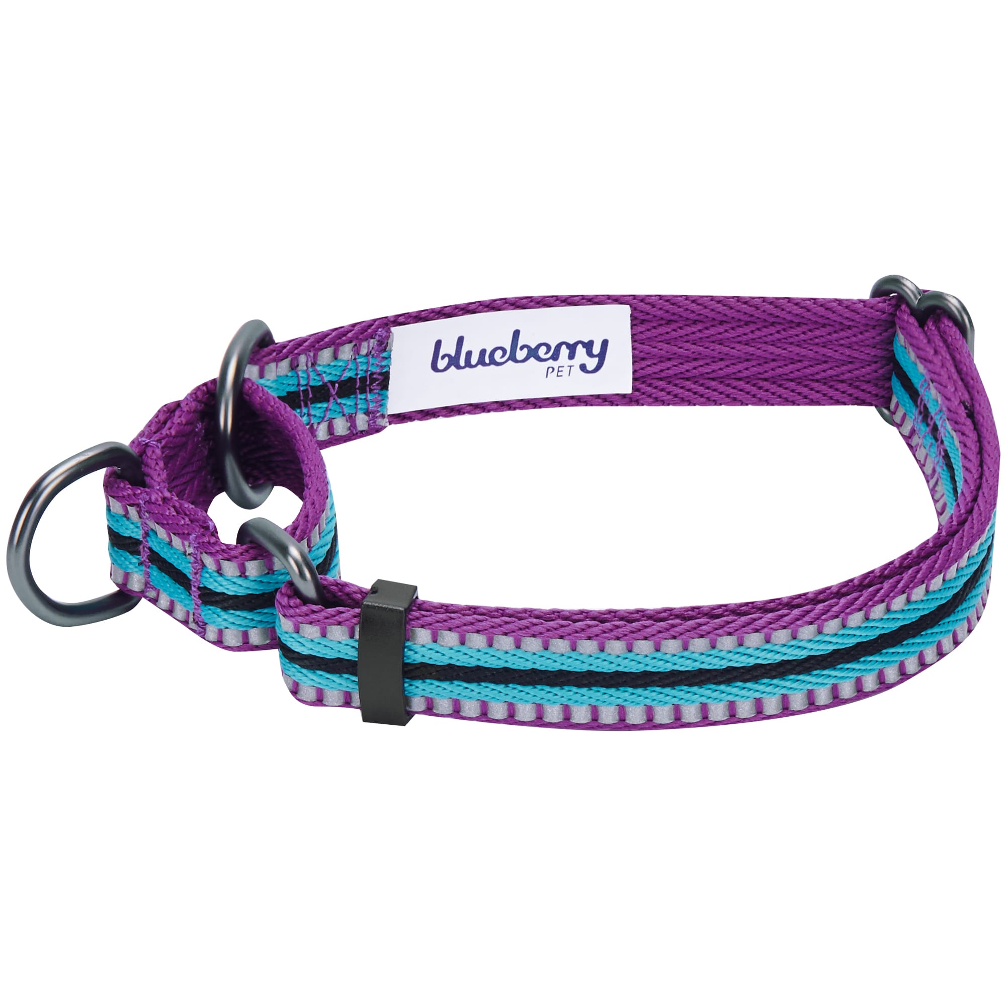 Blueberry Pet Violet and Celeste Reflective Training Martingale Adjustable Dog Collar， Small