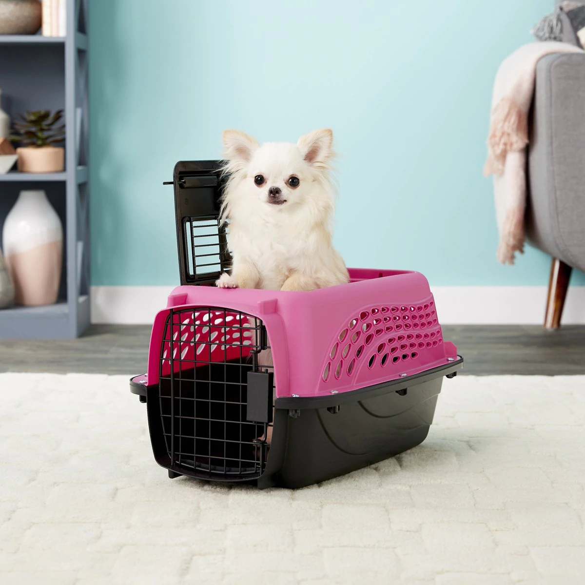 Petmate Two Door Pet Kennel for Pets up to 15 Pounds， Small Rose