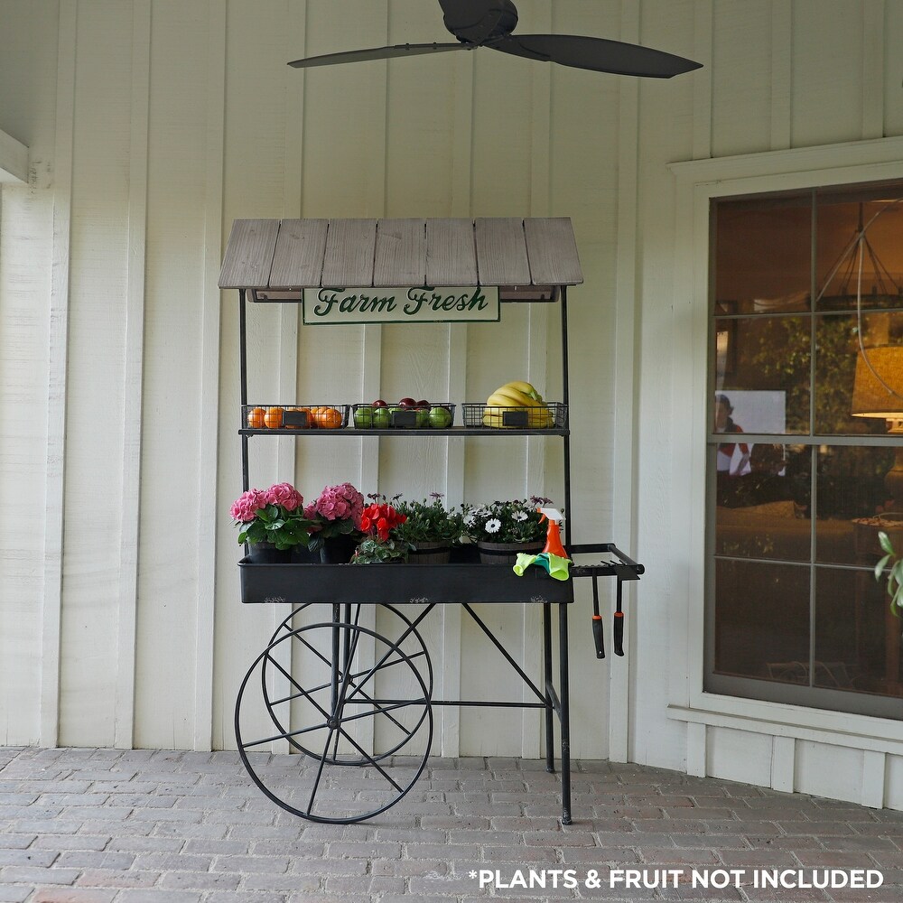 Alpine Corporation Farm Fresh Indoor/Outdoor Metal and Wood Garden Cart  51\