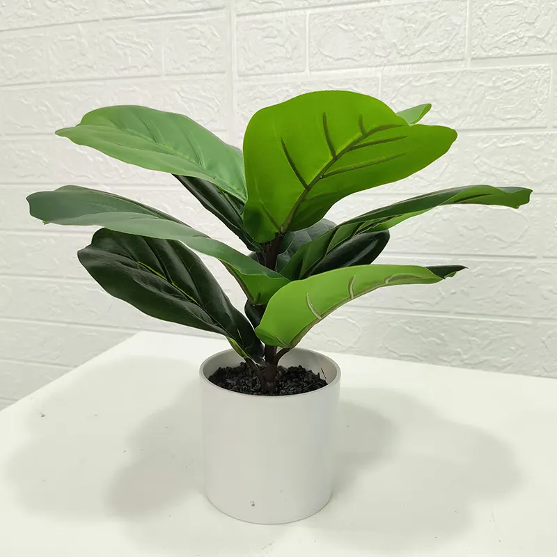 GS QYRXPZ011 2 Garden supplies customization bonsai potted plant faux banyan decoration fiddle leaf fig tree ficus lyrata