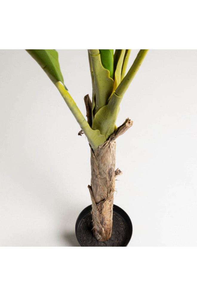 Banana Artificial Plants (2)  La Forma   Contemporary   Coffee Table Sets   by Oroa   Distinctive Furniture  Houzz