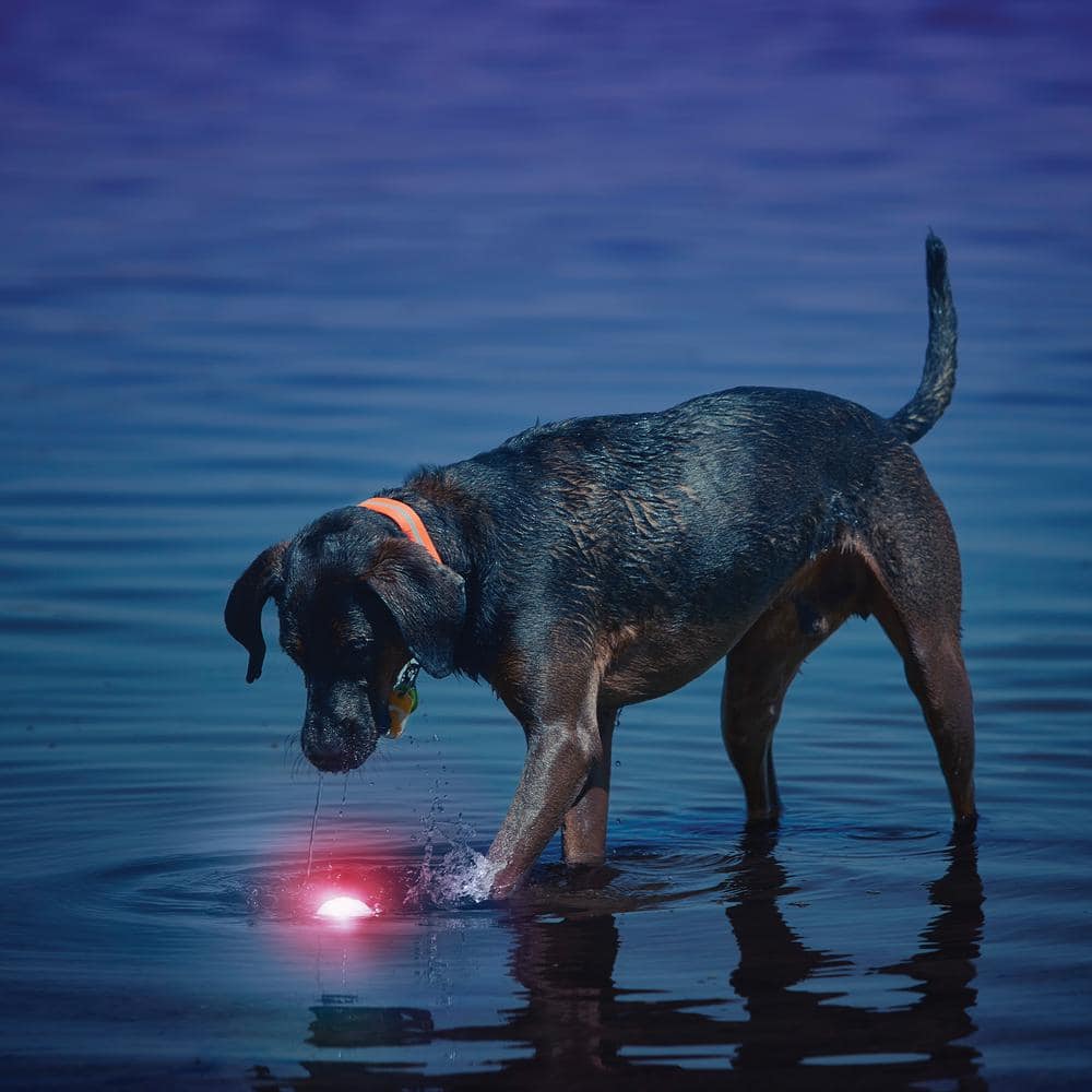 Nite Ize GlowStreak LED Red Ball Dog Toy GSB-10-R7