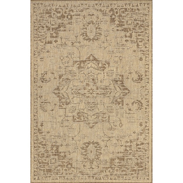 Nuloom Becki Traditional Medallion Indoor outdoor Area Rug