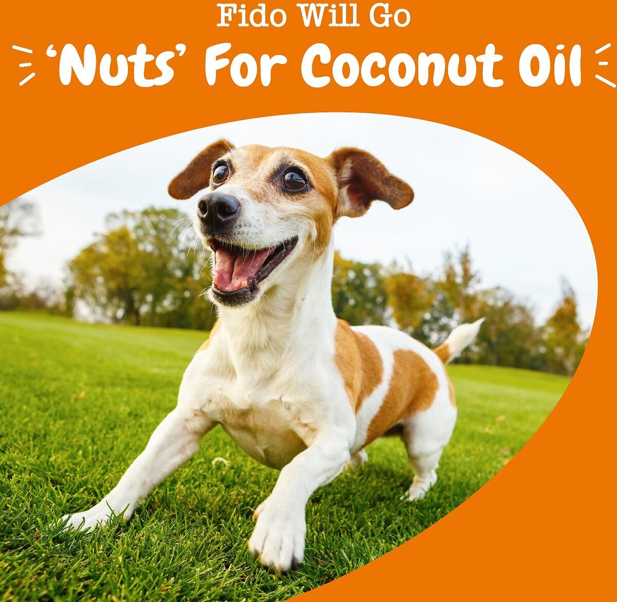 Zesty Paws Coconut Oil Coconut Flavored Liquid Skin and Coat Supplement for Dogs