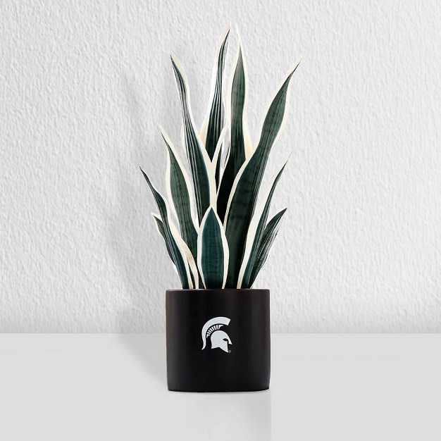 Quicskcart  Michigan State Faux Snake Plant， Indoor Artificial Plant For Home Decor