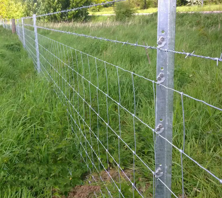 Factory supply best price hinge joint field fence goat farming grassland cheap field fence