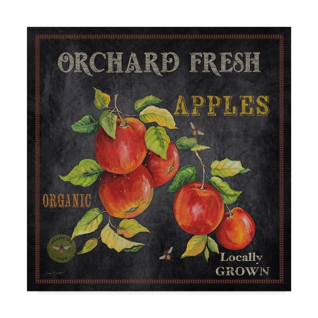 Trademark Fine Art jean Plout x27 orchard Fresh Apples x27 Canvas Art