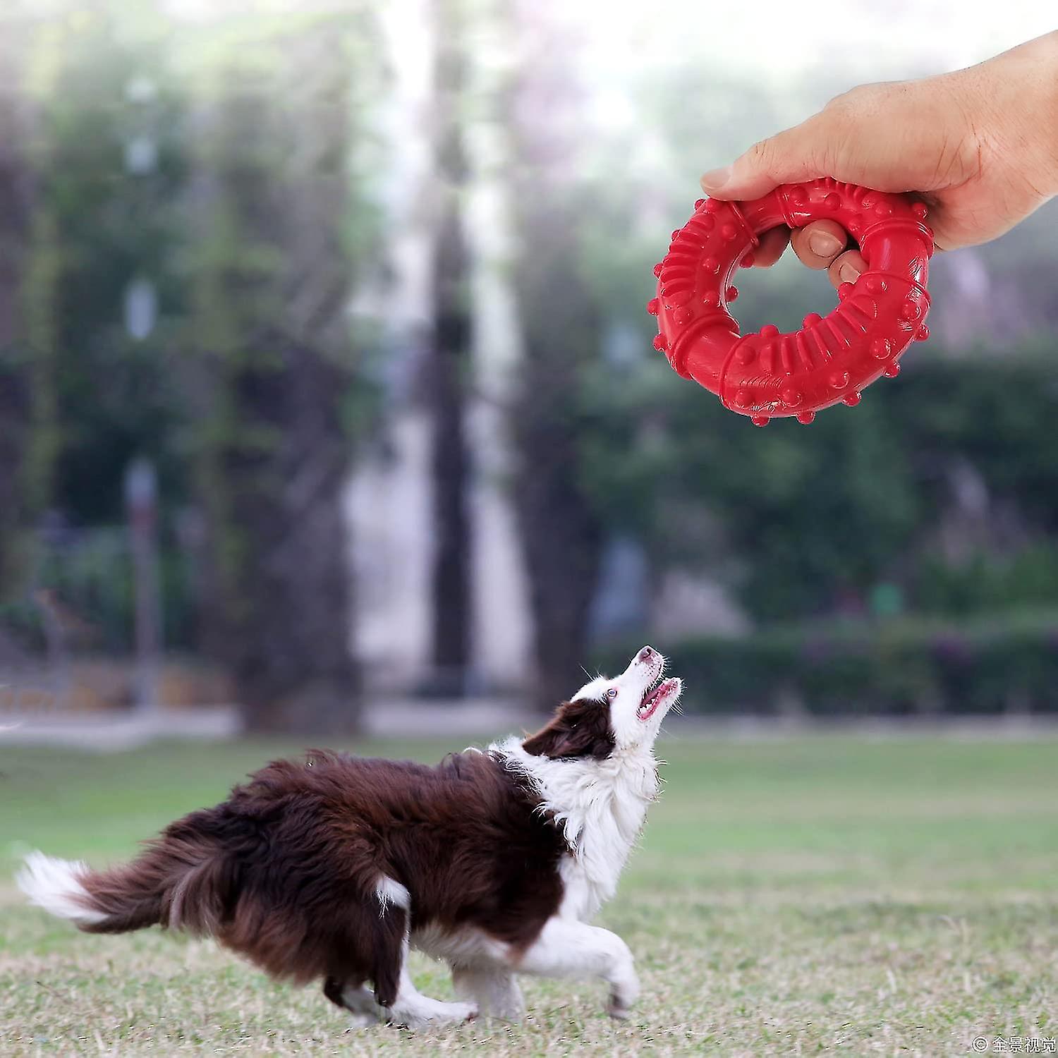 Chew Ring， Dog Chew Toys For Aggressive Dogs， Indestructible Rubber Dog Toys For S， Medium And Lar Dogs-chew， And Retrieve (red)