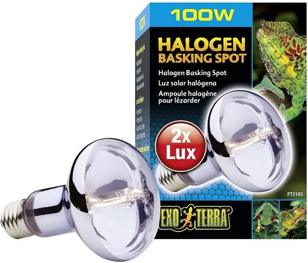 Exo Terra Sun Glo Halogen Daylight Reptile Lamp