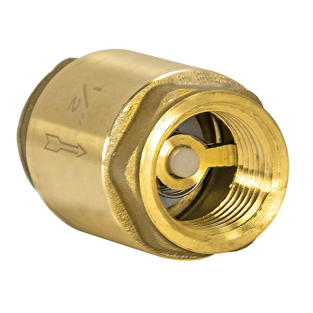 EZ-FLO 12 in. IPS Brass In-Line Check Valve 20401LF