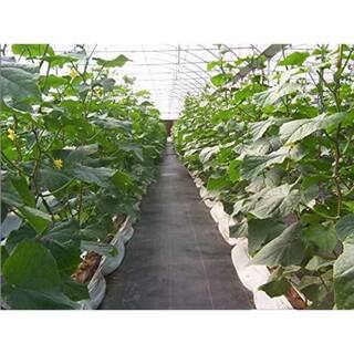 Agfabric 4 ft. x 50 ft. Landscape Fabric Heavy PP Woven Weed Barrier Soil Erosion Control and UV Stabilized GC3004050BF