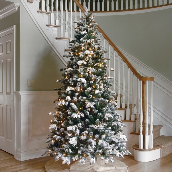 National Tree Company 6.5 ft. Snowy Everest Fir Medium Tree with Clear Lights