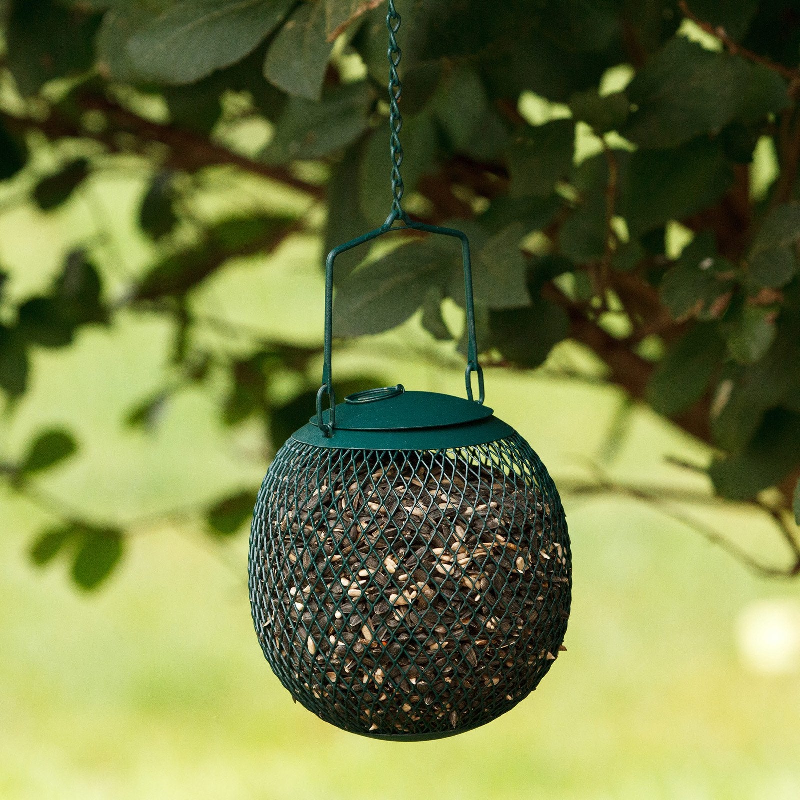 Perky-Pet Green Seed Ball Wild Bird Feeder