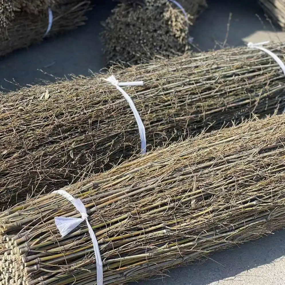 Cheap price wholesale supplies dried bamboo branches fence