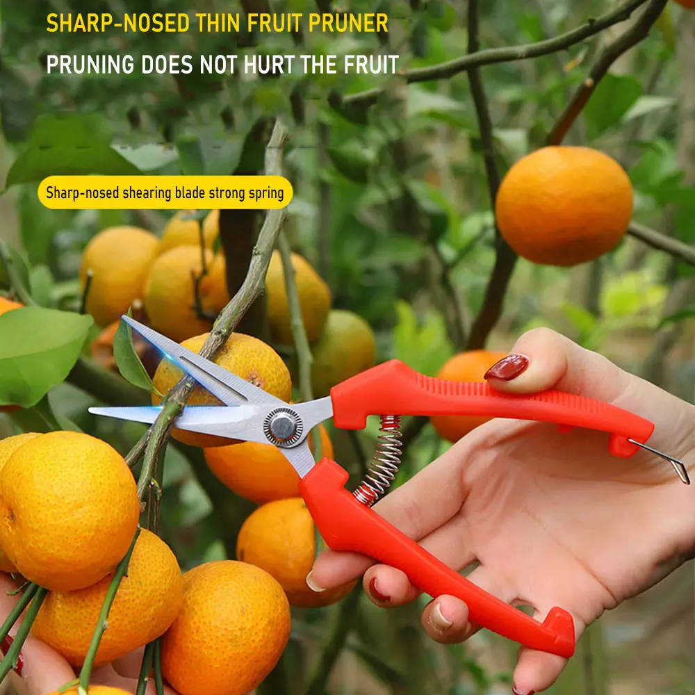 Garden Tools Secateurs Shears Pruning Tool Hand Cutter Grape Fruit Picking Weed Household Potted Metal Gardening Scissors