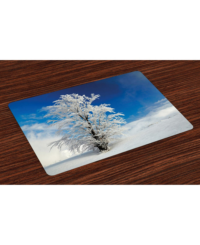 Ambesonne Winter Place Mats Set of 4