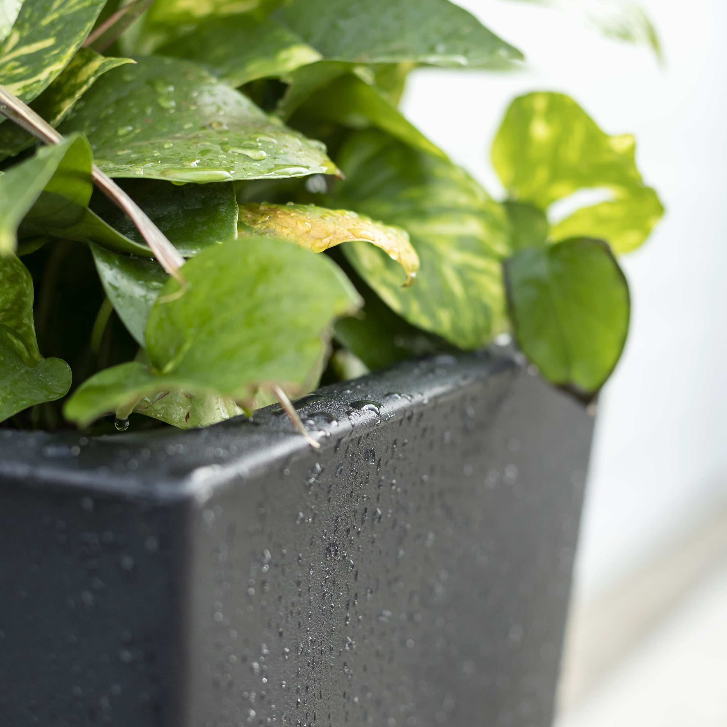 Step2 Tremont Plastic Black Square Planter 15