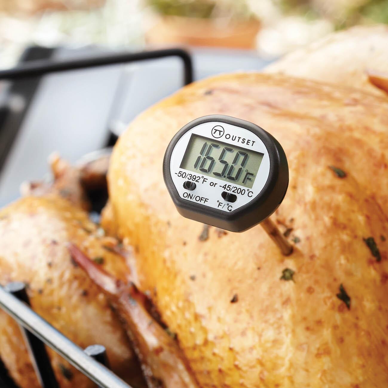 Outset Instant-Read 6-Inch Digital Thermometer