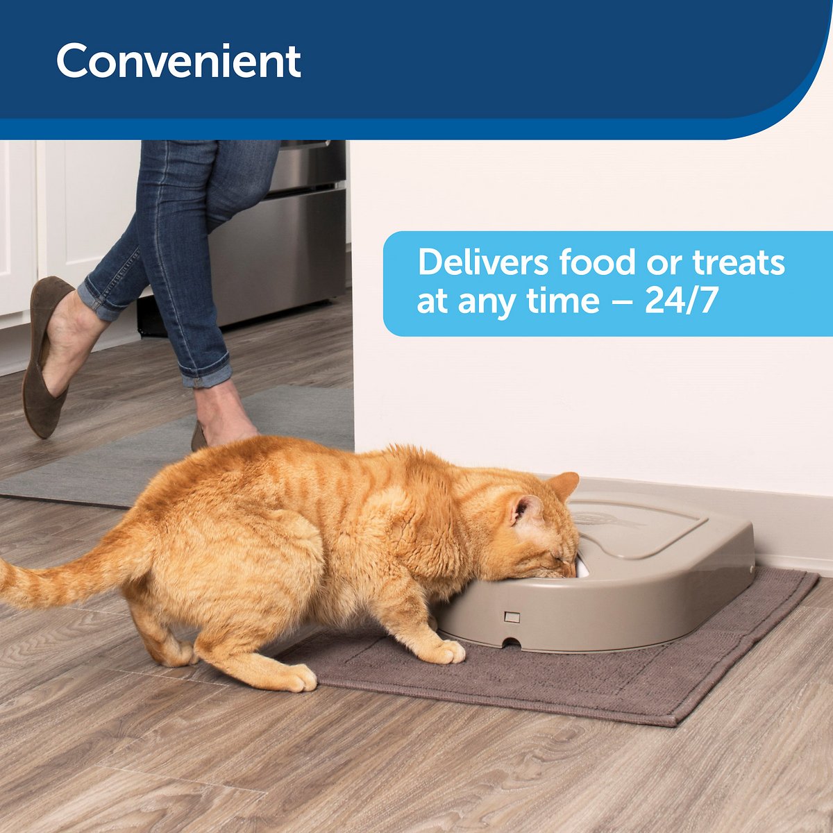 PetSafe Eatwell 5-Meal Automatic Cat and Dog Feeder - Tray Automatically Rotates According to User Programming to Deliver Pre-Planned Meals at Precise Times