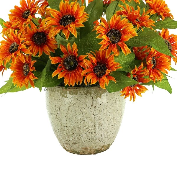 Sunflowers Arranged in a Ceramic Pot