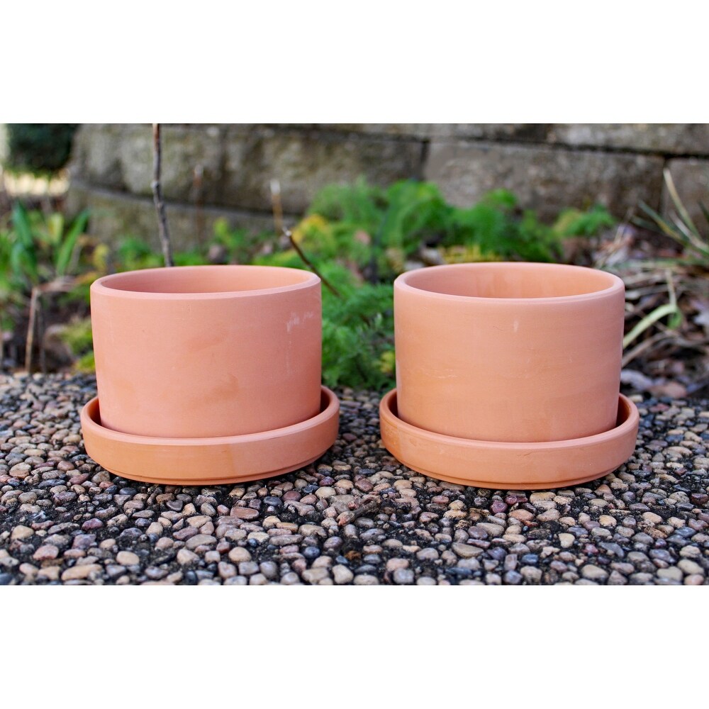 Set of 2 Terracotta Round Fat Walled Garden Planters with Individual Trays  2 SIZES AVILABLE