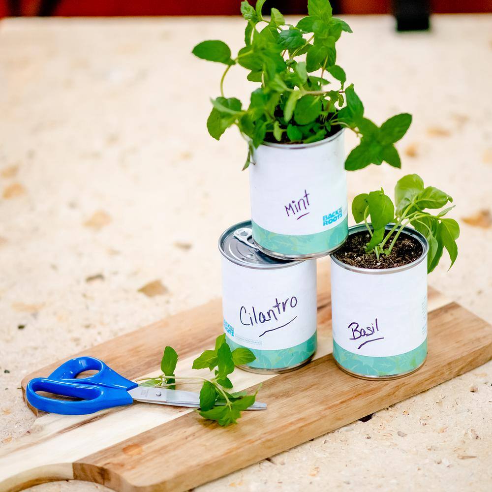 Back to the Roots BasilCilantroMint Grow Kit Herb Garden (3-Pack) 22206