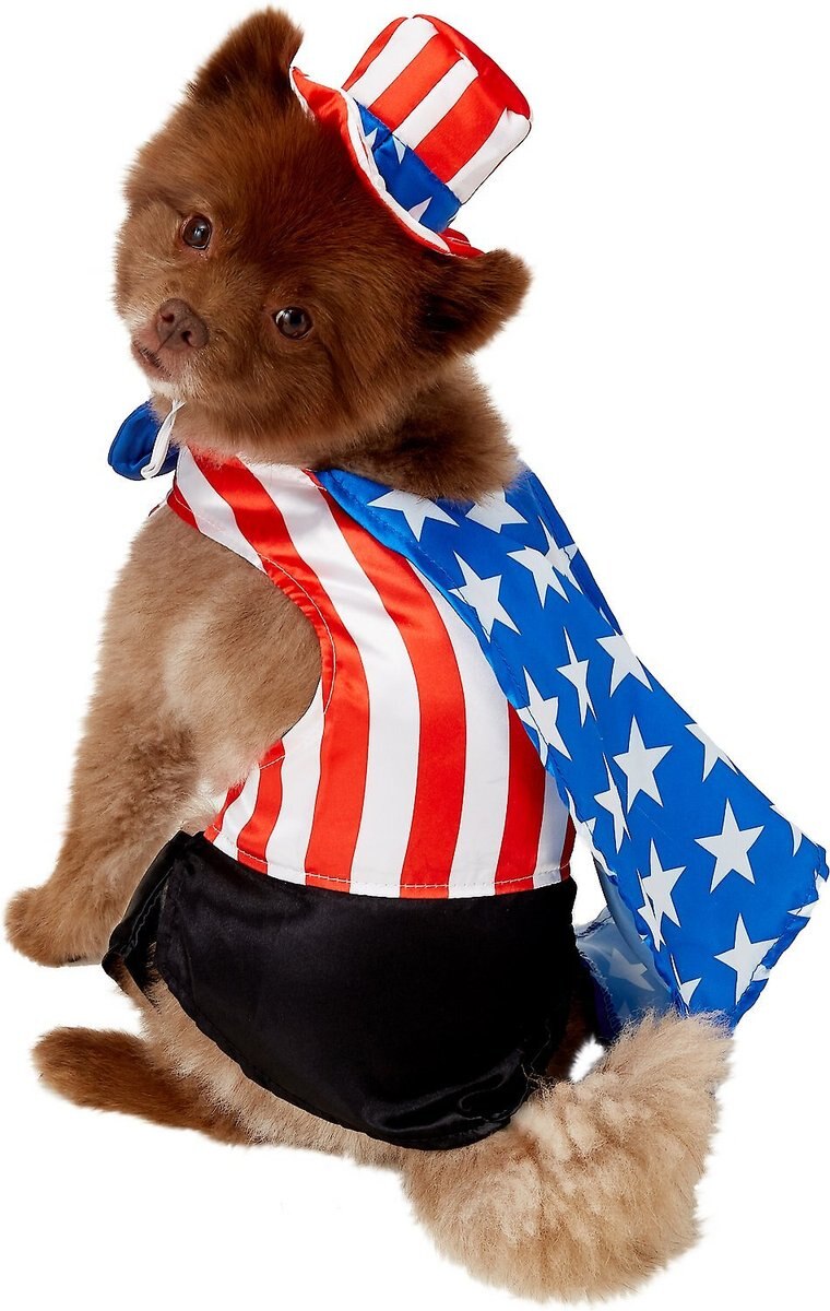 Rubie's Costume Company Uncle Sam Dog Costume