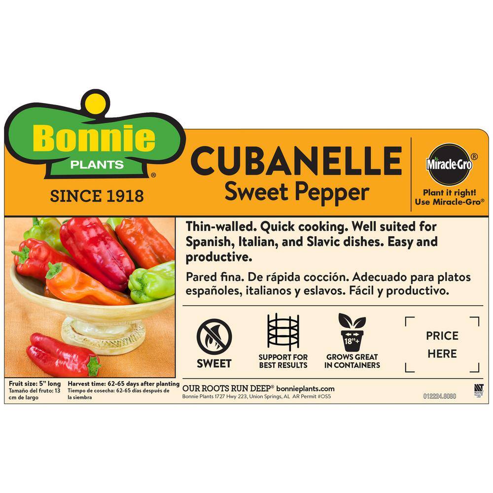 Bonnie Plants 19 oz. Cubanelle Pepper Plant 3400
