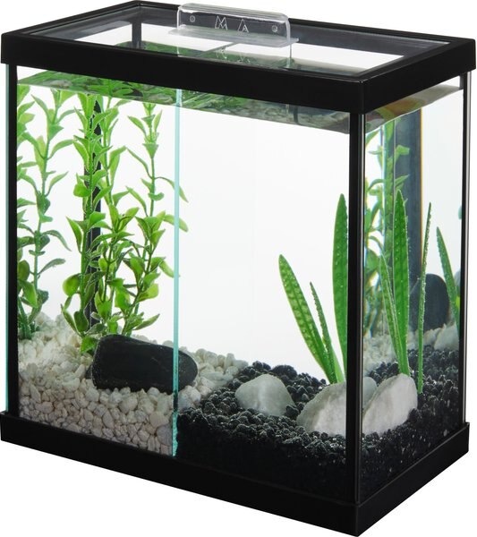 Frisco 2 Betta Aquarium with Divider/Top