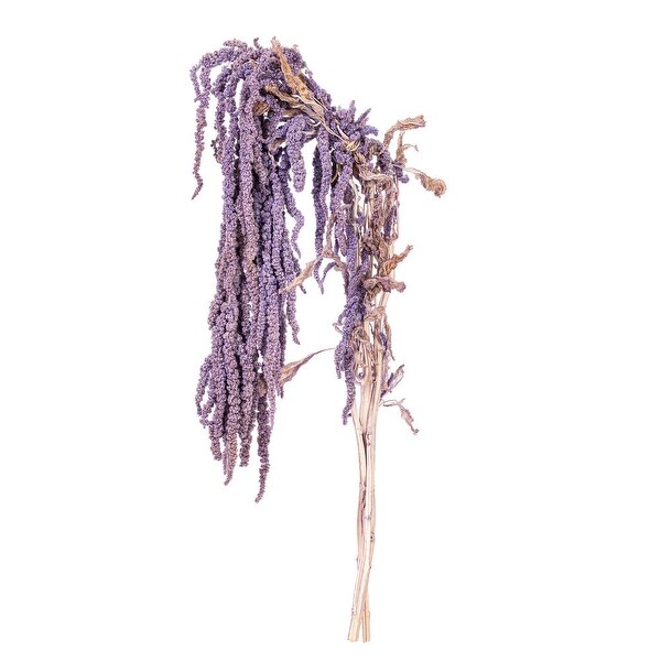 Vickerman 1620 Natural Dried Lavender Amaranthus Bundle，3.5 oz.