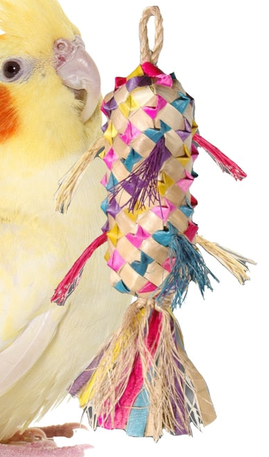 Bonka Bird Toys 03113 Small Spiked Pinata Bird Toy.