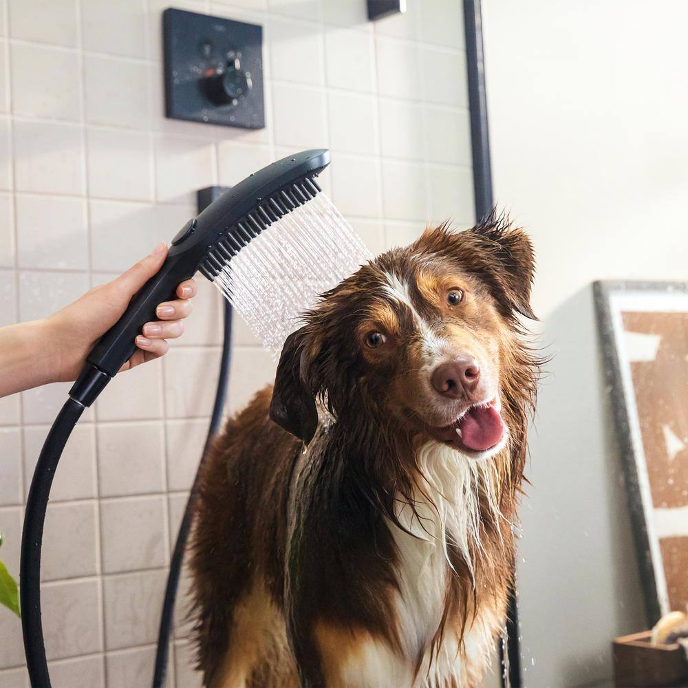 Hansgrohe Dog Shower 3-Spray Patterns 1.75 GPM 30 in. Wall Mount Handheld Showerhead Set in Black 04974670