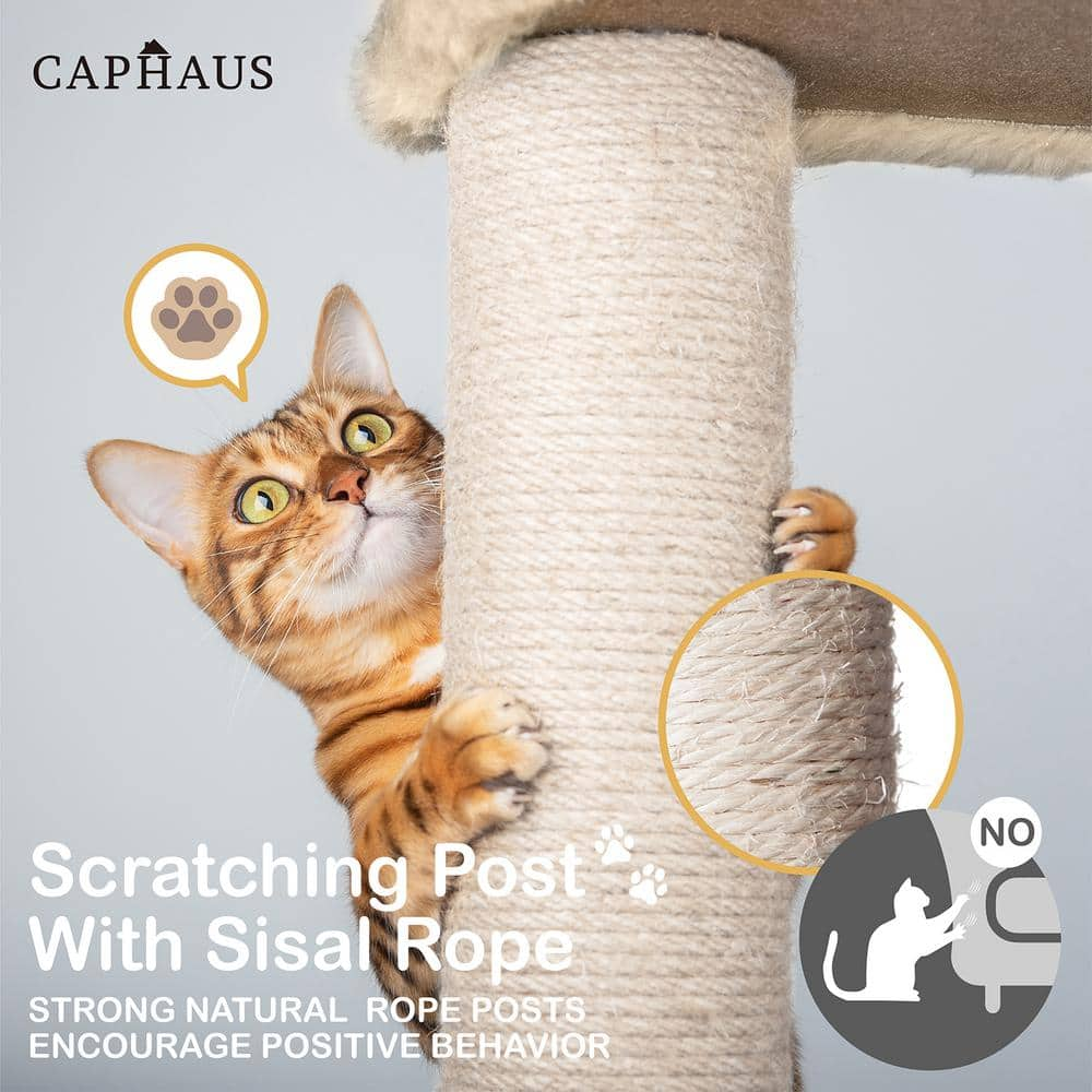 CAPHAUS 37 in. Beige Cat Tower for Indoor Cats, Modern Cute 37 in. Small Cat Tree with Widened Perch PHFC-BH381901-BG