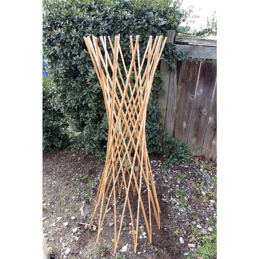 MGP 48 in. H Classic Willow Funnel Trellis WFF-48CF