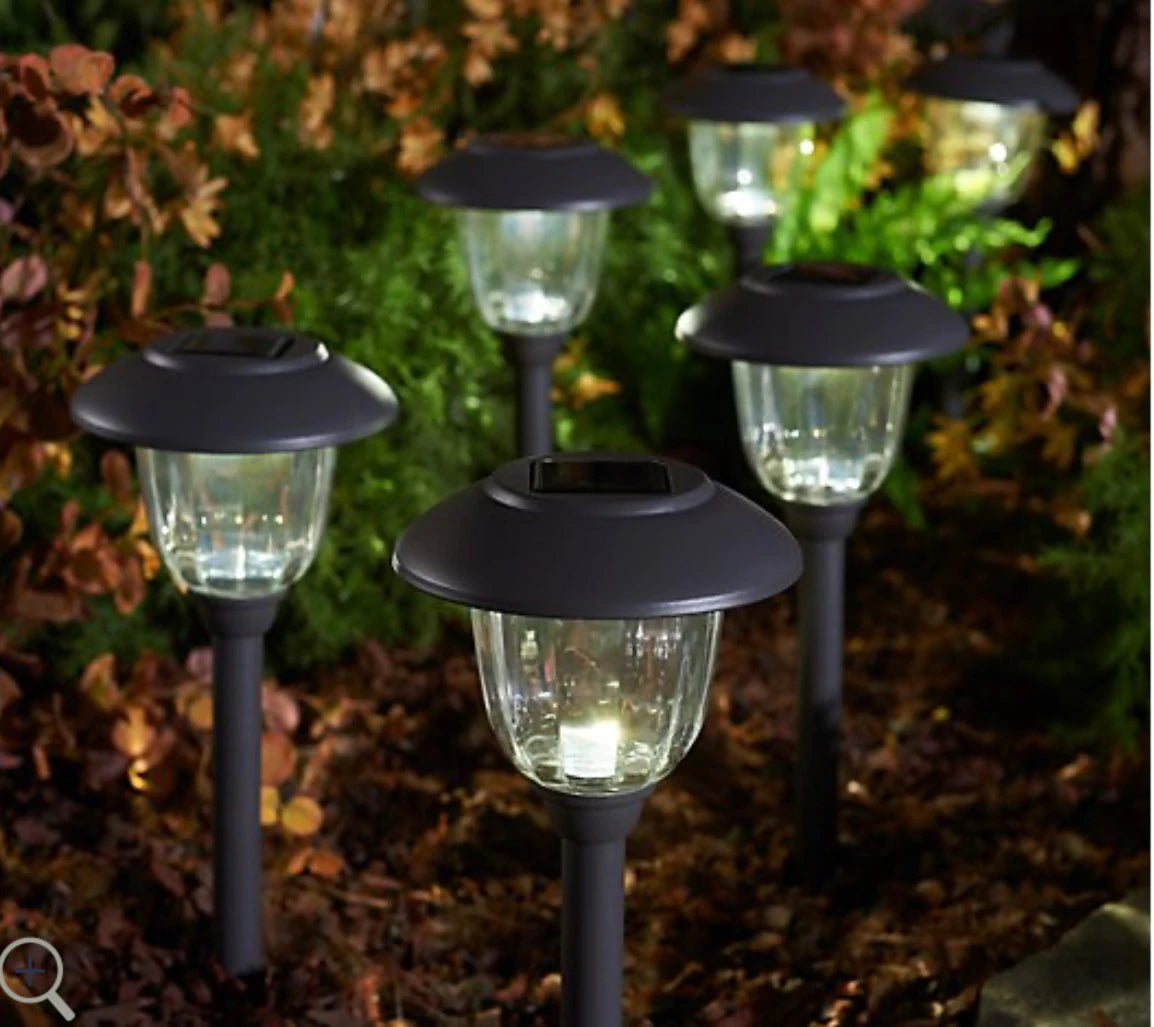 Energizer 12 Pack Solar Pathway Light Set 15-Lumen