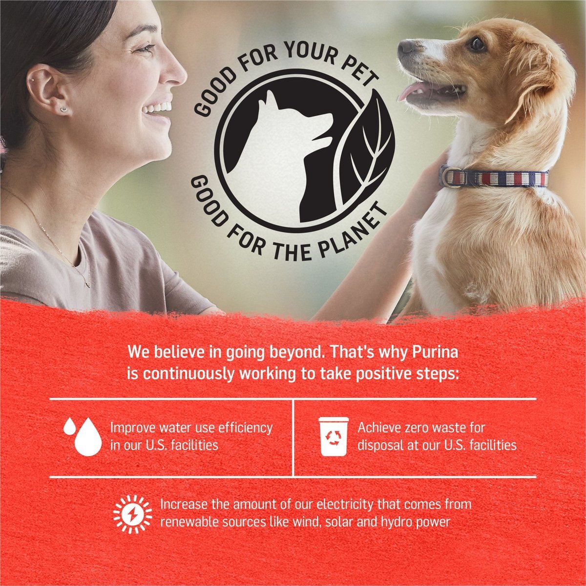 Purina Beyond Grain-Free Chicken and Beef Variety Pack Canned Dog Food