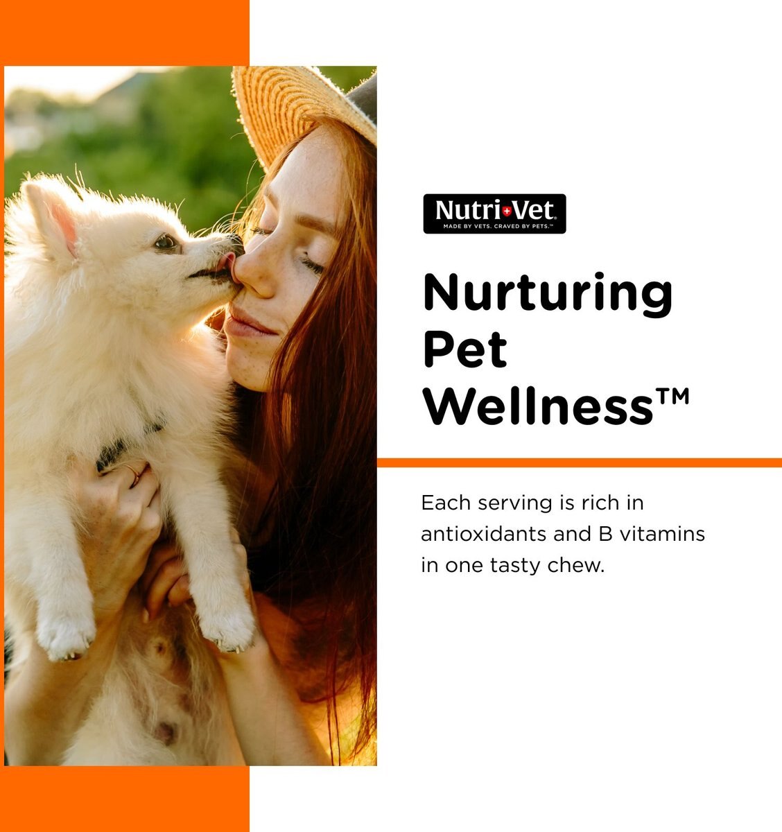 Nutri-Vet Brewer's Yeast Chewable Tablets Skin and Coat Supplement for Dogs