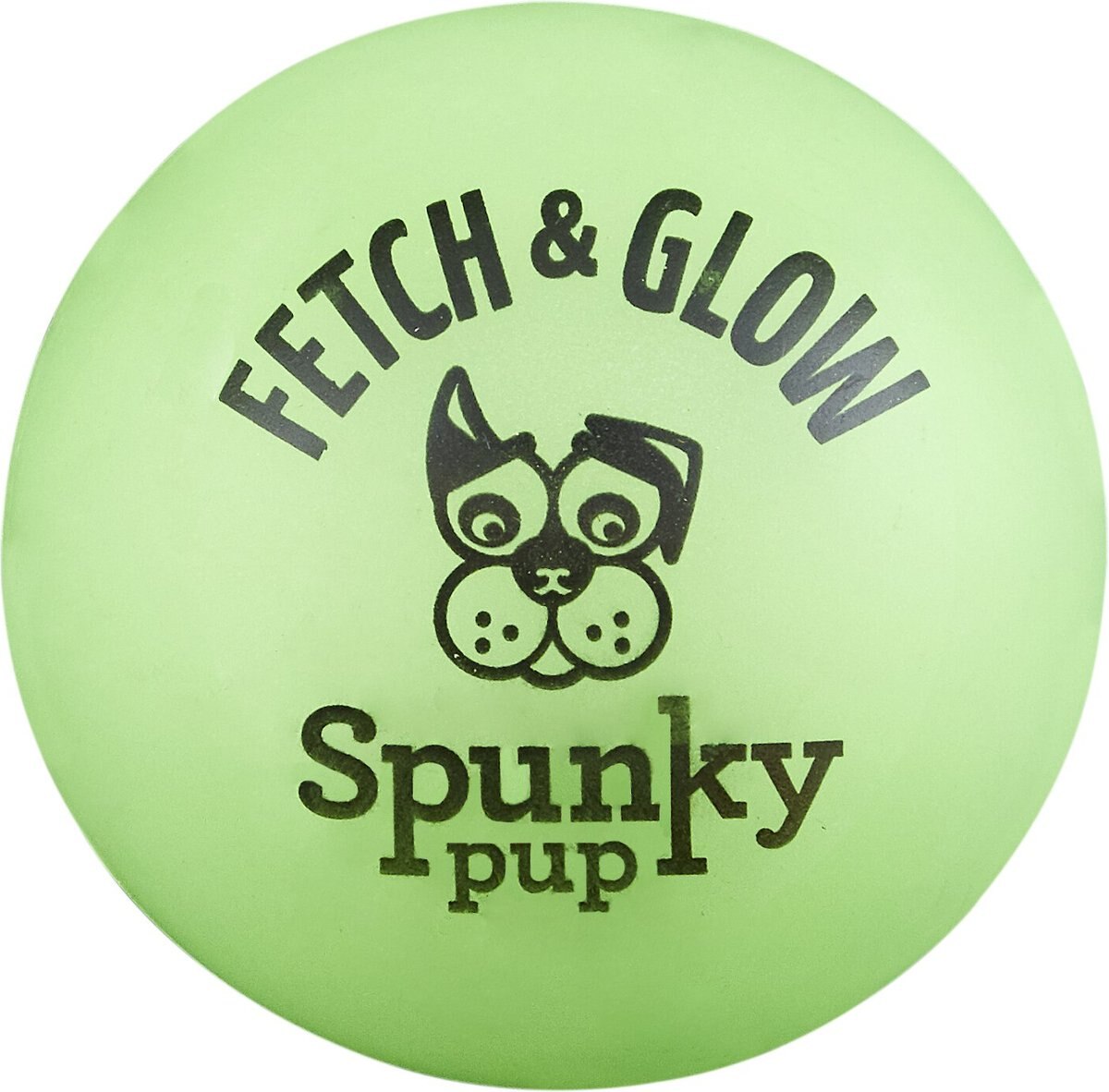 Spunky Pup Fetch and Glow Ball Dog Toy