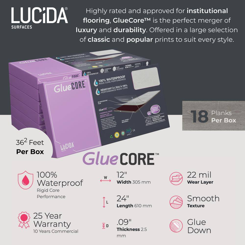 Lucida Surfaces GlueCore Blackrock 22 MIL x 12 in. W x 24 in. L Glue Down Waterproof Vinyl Tile Flooring (36 sqftcase) GC-321