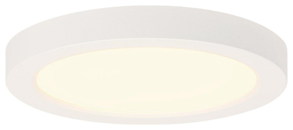 Westinghouse 6111900 5 quotW LED Flush Mount Drum Ceiling Fixture   Modern   Outdoor Flush mount Ceiling Lighting   by Buildcom  Houzz