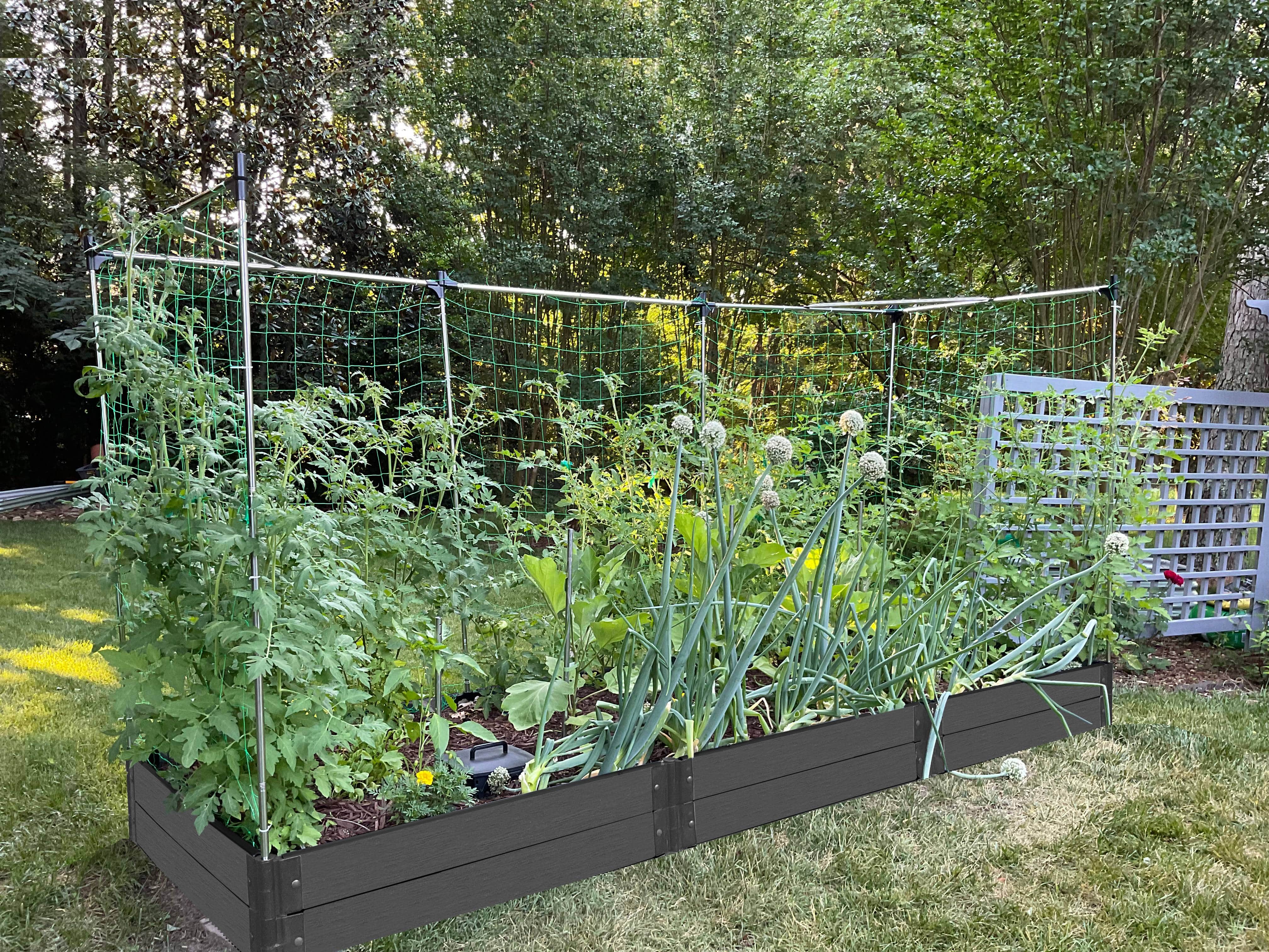 4' x 12' Raised Garden Bed with Trellis