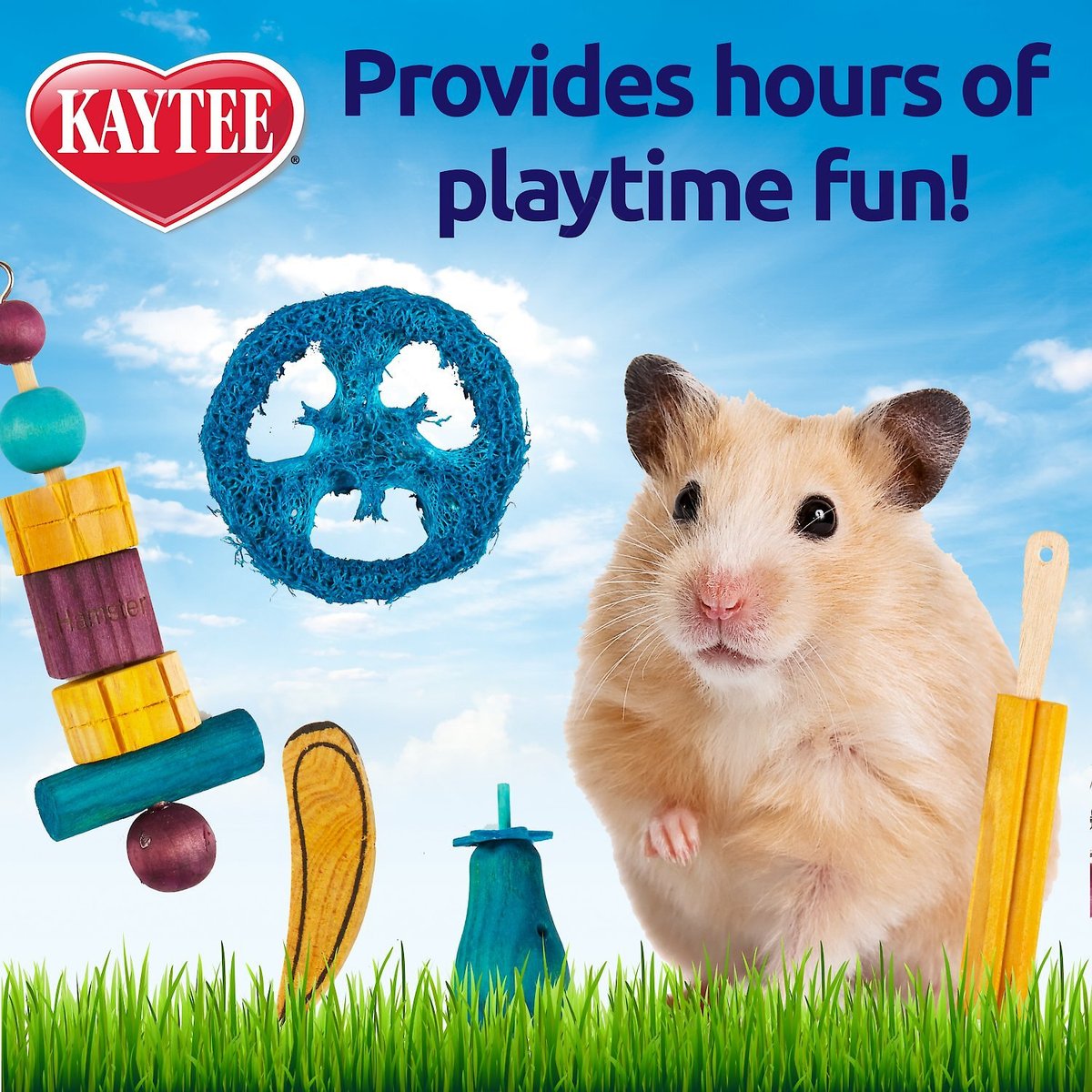 Kaytee Chew and Treat Hamster Toy， 5 count