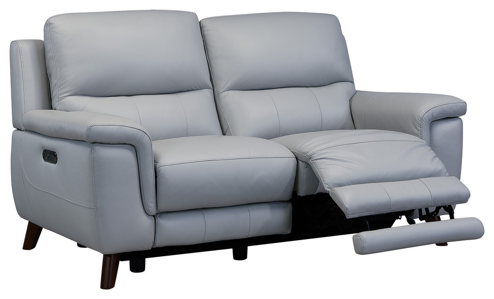 Lizette Loveseat  Dark Brown Wood Finish and Dove Gray Genuine Leather   Midcentury   Loveseats   by Homesquare  Houzz